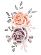 Fleur page manoir oseraie