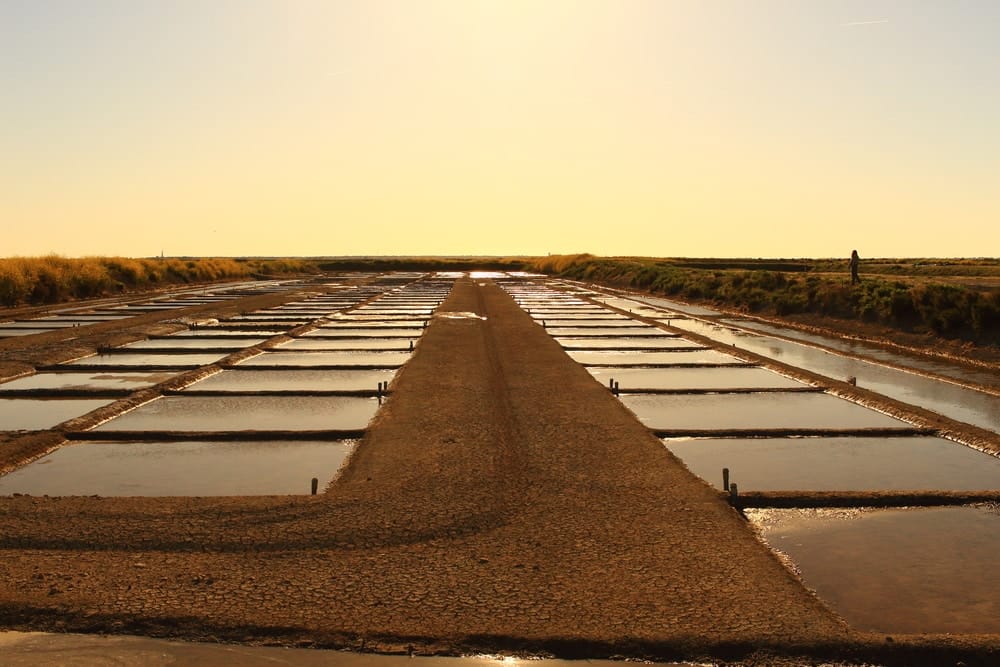 marais salants