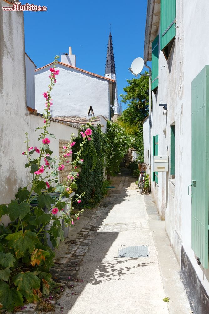 tipica_viuzza_nel_villaggio_di_ars-en-re_isola_di_re_francia